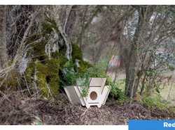 Red - Birdhouse