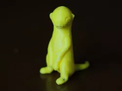sitting meerkat