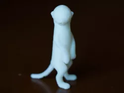 standing meerkat