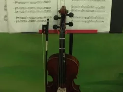 Violin stand holder thing...