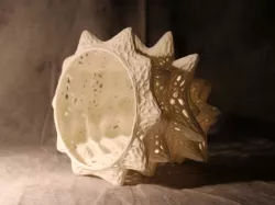 Coral's Song - Organic Voronoi Structure