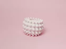 Hexacorallia