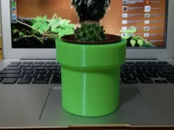 Mini-Cactus Mario Tube