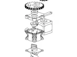 Moineau paste extruder
