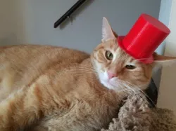 Pet Top Hat (Scale up ten)