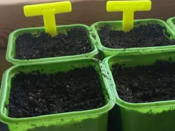 Planter signs, Small signs, Super when starting seeds indoor.