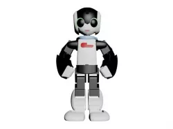Robi the Action Figure