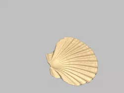 Seashell