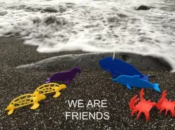 Simple animals 14 - Sea