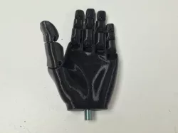 TD_Static Hand