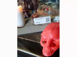 Alien Skull - (Crystal Skull Inspired)