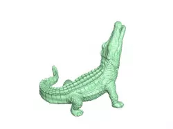 Alligator