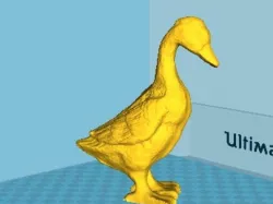 Goose