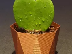 Octagonal planter