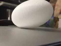 Odd Egg