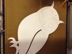 Owl