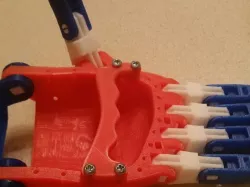 Phoenix hand demo bar