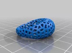 Ring Voronoi