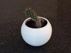 Spherical Plant Pot