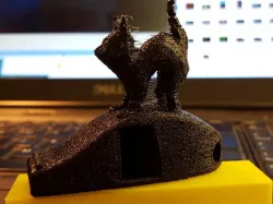 V29 with cat