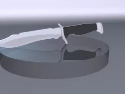 CS:GO Bowie Knife