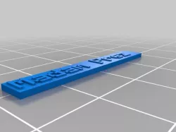 Dotty P. Name plate
