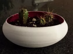 Ellipsoidal Plant Pot