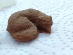 Fox Chocolate