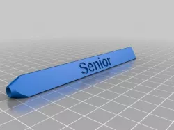Senior 2017 Pen
