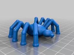 Spider