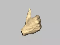 Thumb up. Ok !