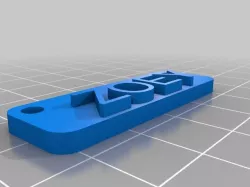ZOEY  Name Tag