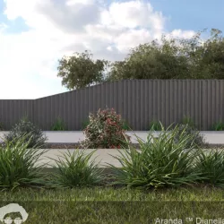 Aranda Dianella bush  3D model