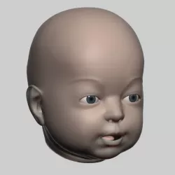 Baby head 01 3D model