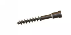 Bone Screw