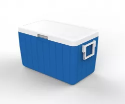 Camping Cooler