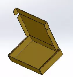 Carton Pizza BOX