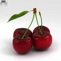 Cherry 3D model