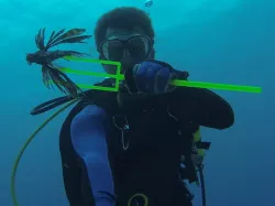 Customizable Spear for LIONFISH Fishing / Hunting