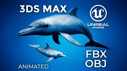 Dolphin Animation Pack - UE4 3ds Max Low-poly  3D model