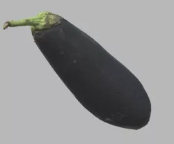 Eggplant 3D model