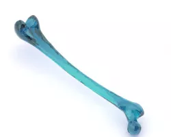 Femur