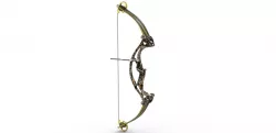 hoyt compound bow