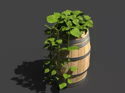 Ivy Vines Plant 3D model