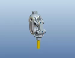 knee joint