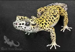 Leopard Gecko 3D model