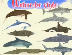 Low Poly Big Fish Illustration Collection Animated - Game Ready Low-poly  3D model