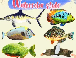 Low Poly Fish Illustration Collection - Animted Part 3 Low-poly  3D model