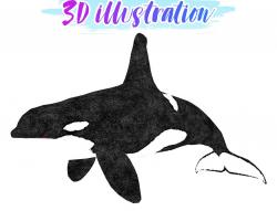 Killer Whale Animation Game 3d Models Page 1 Stlfinder