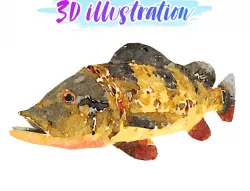 Low Poly Peacock Bass Illustration Animated - Game Ready Low-poly  3D model
